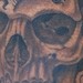 Tattoos - Skull Tree - 36236